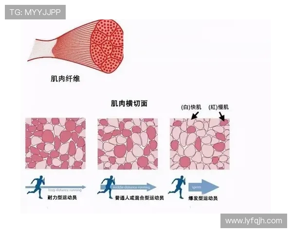 上海与南京排球队的耐力对决赛后分析与反思 上海与南京排球队的耐力对决赛后分析与反思