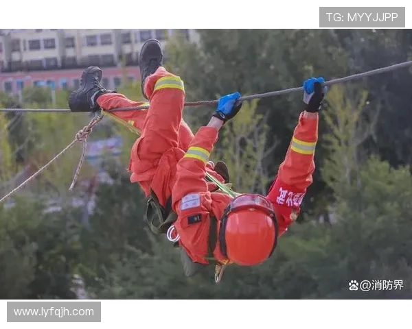 武汉排球队的蜕变之旅世界锦标赛背后的奋斗与坚持 武汉排球队的蜕变之旅世界锦标赛背后的奋斗与坚持